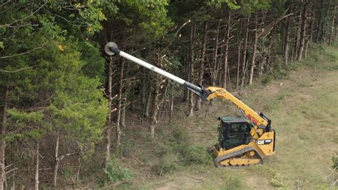 limb buster trees